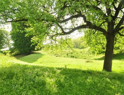 Grundstückskauf und was zu beachten ist